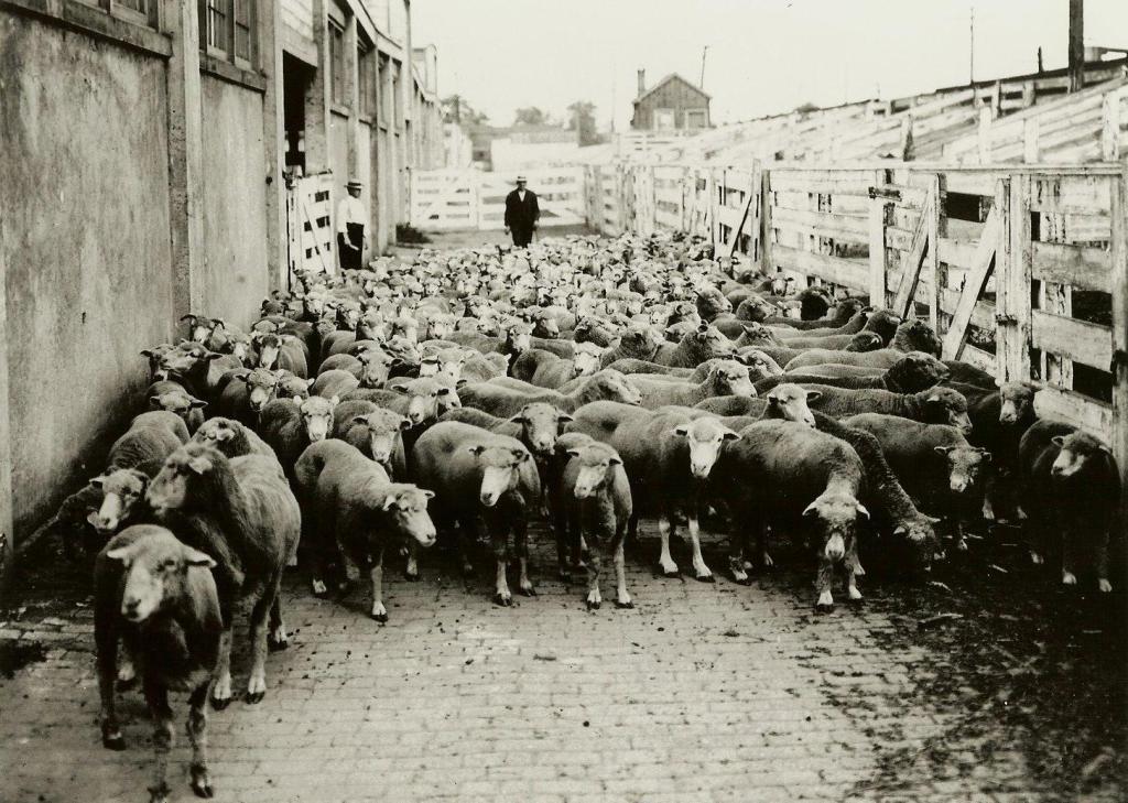 Past Event: June 2nd Meeting: “The Stockyards: Industrial Growth of the Junction”